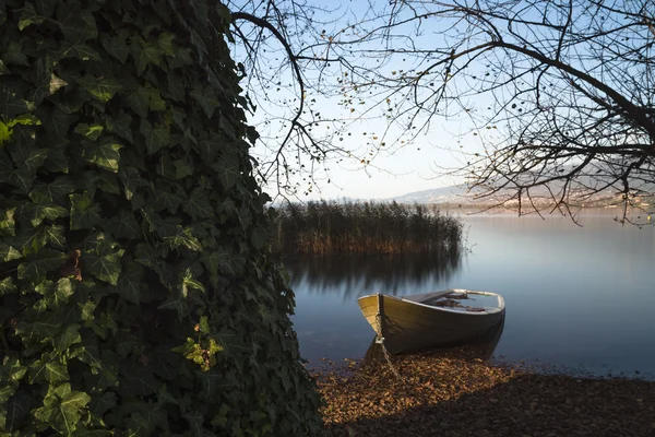 Gröna båt väntar på sommaren — Stockfoto