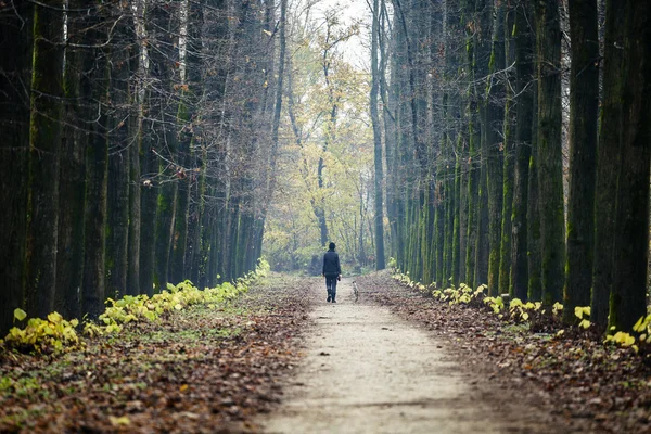 Mujer caminando en el parque — Foto de Stock