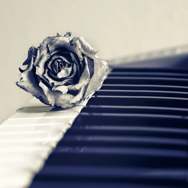 Seni düşünüyorum.