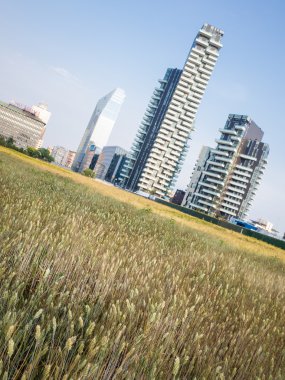 Spystyle arazi sanat Milano