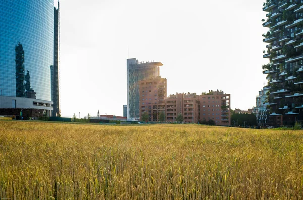 Spystyle arazi sanat Milano