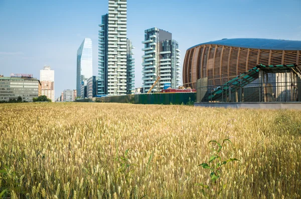 Wheatfield land art in Milan