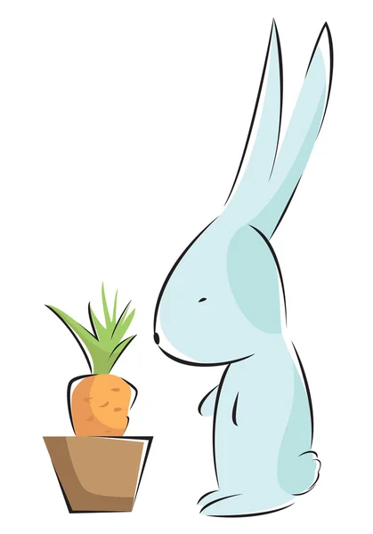 Lapin et carotte — Image vectorielle