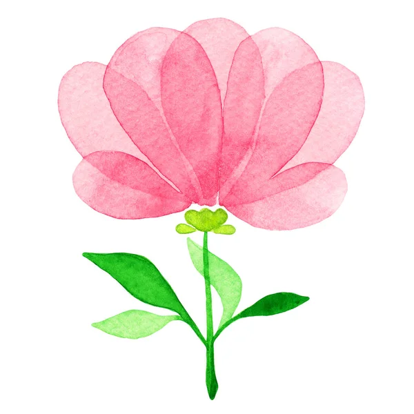 Ilustração Uma Flor Aquarela Incomum Imagem Rosa Delicada Cria Uma — Fotografia de Stock