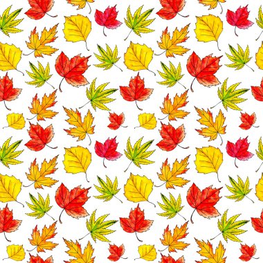 Sonbahar yapraklarının suluboya deseni. Kırmızı, sarı, turuncu ve yeşil renkler. Sonbahar havası yaratır.