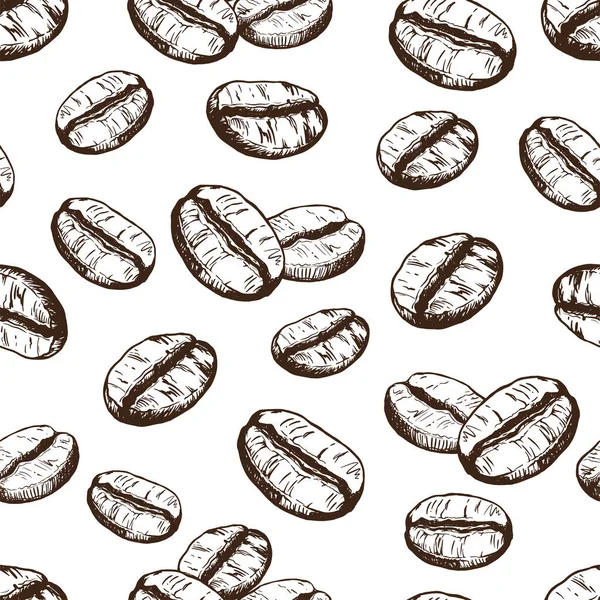 Modèle Vectoriel Sans Couture Avec Contour Grains Café Sur Fond — Image vectorielle