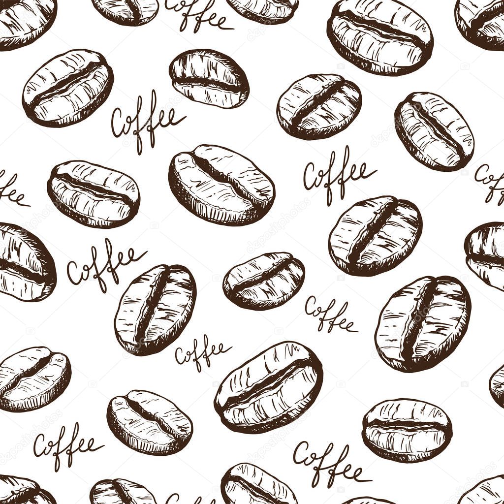 Vector seamless pattern with outline coffee beans and lettering on a transparent background. For packaging design, cafes and restaurants, food products.