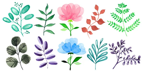 Set Abstract Watercolor Plants Flowers Vintage Style Handmade — Stock Photo, Image