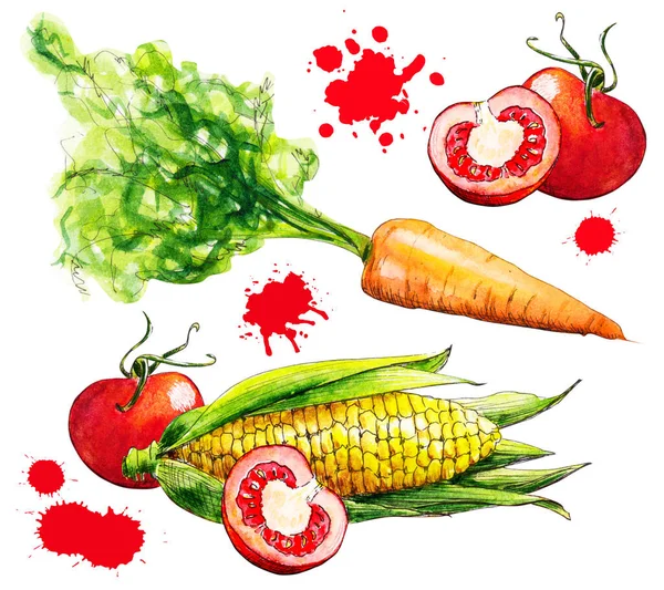 Conjunto Acuarelas Con Ilustraciones Verduras Sobre Fondo Blanco Tomates Maíz — Foto de Stock