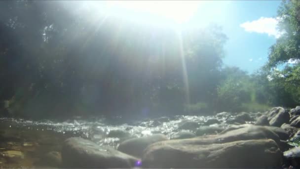 DOS de chapada veadeiros — Vídeo de Stock