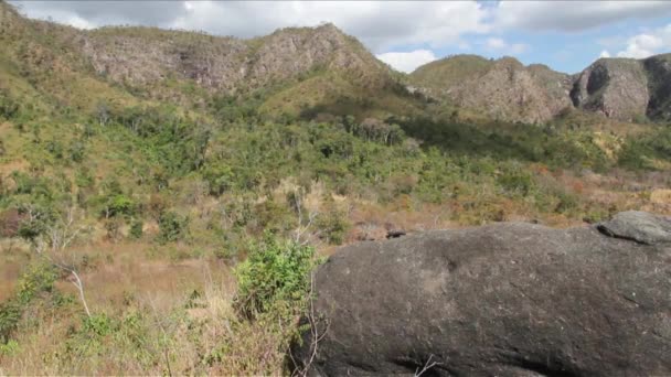 Cerrado Chapado dos Veadeiros — Vídeo de Stock