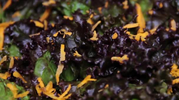 Spicing up salad — Stock Video