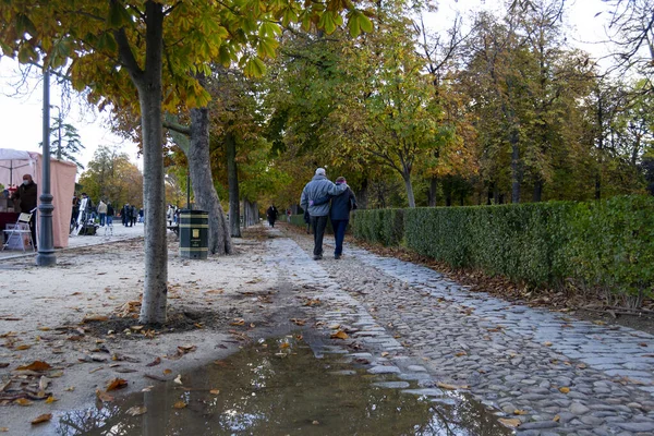 Осінь Парку Ретіро Мадрид Іспанія Подружжя Людей Які Гуляють Вулицями — стокове фото
