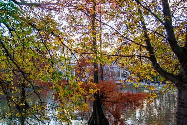 Madrid España Noviembre Palacio Cristal Del Parque Del Retiro Madrid — Foto de Stock