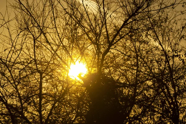 Der Sonnenuntergang Bei Dem Sich Die Sonne Einem Völlig Klaren — Stockfoto