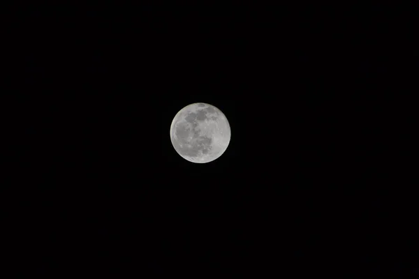 Wolf Moon Super Full Moon Dark Background Madrid Spain Europe — стоковое фото