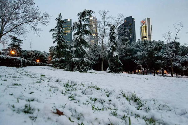 Vistas Nieve Sobre Las Ramas Los Árboles Las Calles Madrid — Foto de Stock