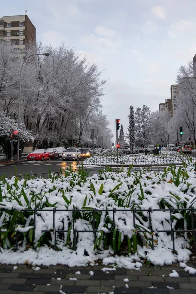Blick Auf Den Schnee Von Den Straßen Madrids Mit Den — Stockfoto