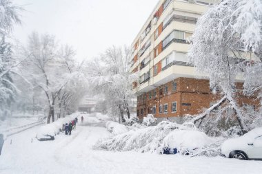 MADRID, SPAIN - JANUARY 9, 2021. Streets completely covered by the snow fallen by the storm Filomena in the capital of Spain, Madrid. Completely white cars and trees. Horizontal photography. clipart