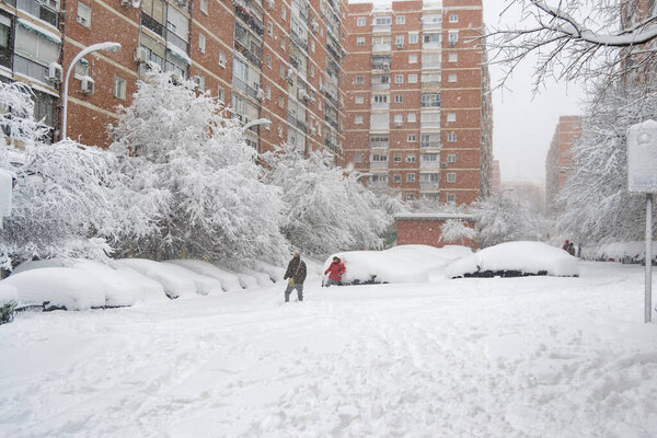 MADRID, SPAIN - JANUARY 9, 2021. Streets completely covered by the snow fallen by the storm Filomena in the capital of Spain, Madrid. Completely white cars and trees. Horizontal photography.