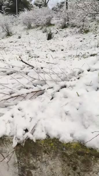 Der Park Von Madrid Ist Komplett Mit Weißem Schnee Bedeckt — Stockvideo