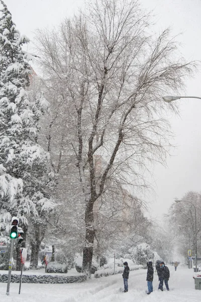 Madrid Spain January 2021 Views Snow Branches Trees Streets Madrid — Stock Photo, Image