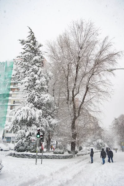 Madrid España Enero 2021 Vistas Nieve Sobre Las Ramas Los — Foto de Stock