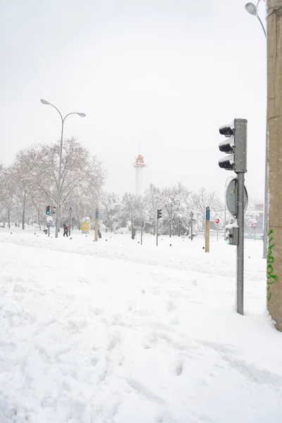 马德里 Spain 2021年1月9日 在马德里的树枝上和街道上的雪景 寒冷的天气里有大量的固体降水 在西班牙纵向摄影 — 图库照片