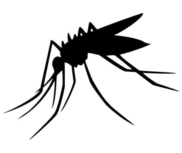 从白色背景中分离出来的蚊子黑色轮廓 飞虫蚊子的图标 Midge 虎纹蚊矢量说明 — 图库照片