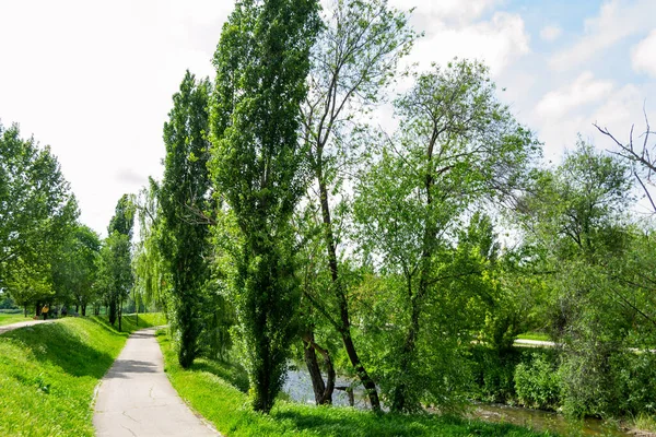 Madri Parque Com Caminho Árvores Com Folhas Verdes Ambos Lados — Fotografia de Stock