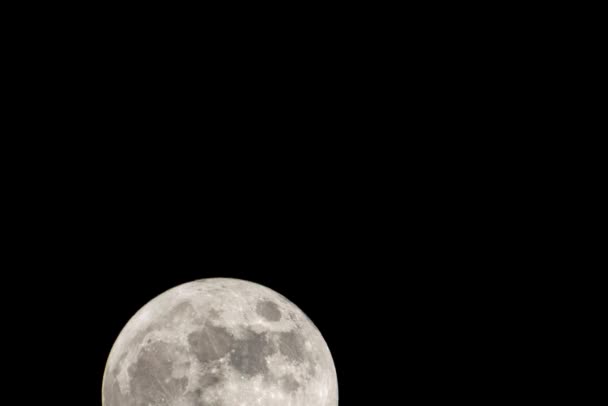 Blue Moon Super Full Moon August Moon Bright Stars Background — Stock video