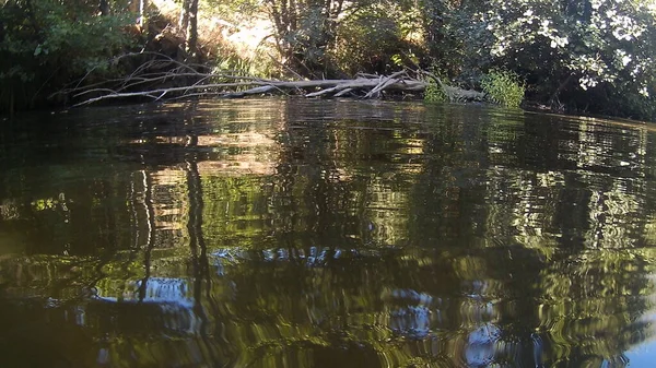 Foto Ufer Eines Flusses Caceres Mit Steinen Hintergrund Und Ästen — Stockfoto