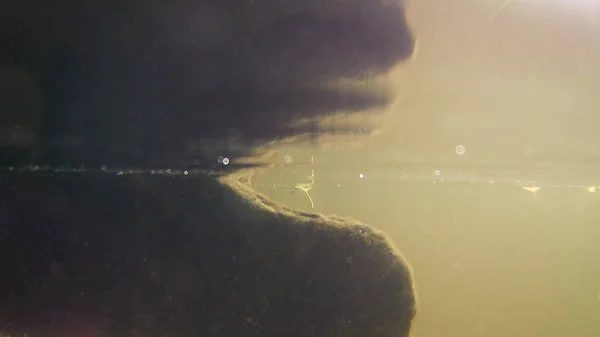 Underwater photography in a river in Caceres with stones in the background, in Spain. Europe. Horizontal photography.