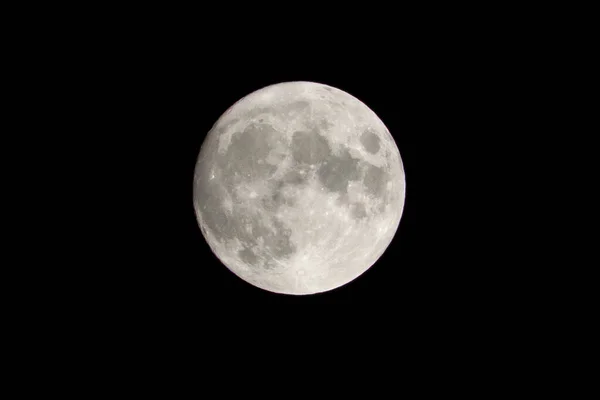 Wolf Moon Super Full Moon Dark Background Madrid Spain Europe — ストック写真