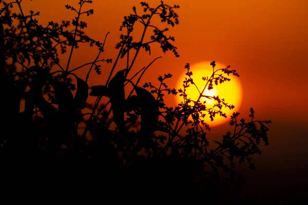 Laranja Sol Acompanhada Pela Silhueta Plantas Cidade Madrid Algumas Nuvens — Fotografia de Stock