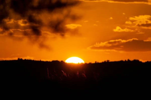 Pôr Sol Com Silhueta Montanha Uma Árvore Praia Torrenostra Castelln — Fotografia de Stock