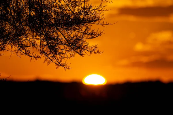 Pôr Sol Com Silhueta Montanha Uma Árvore Praia Torrenostra Castelln — Fotografia de Stock