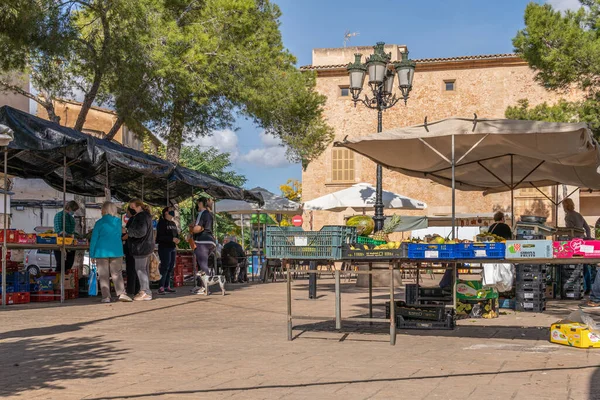 Campos Îles Baléares Espagne Novembre 2020 Étal Fruits Légumes Marché — Photo