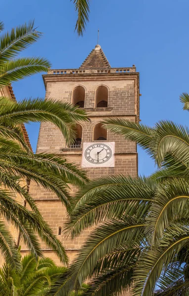 Kyrkan Klocktorn Mallorca Staden Porreres Solig Dag Omgiven Palmblad — Stockfoto