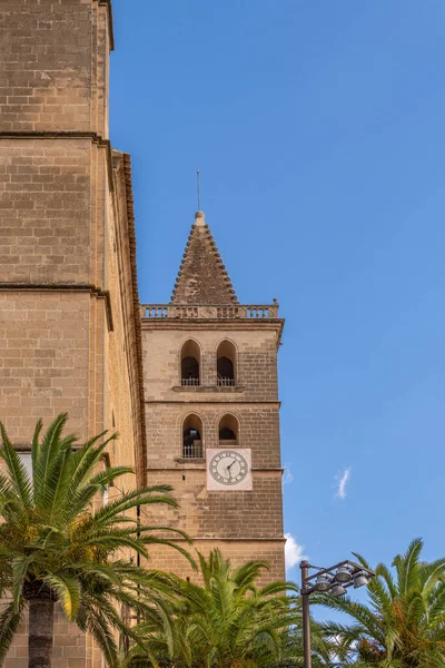 Kyrkan Klocktorn Mallorca Staden Porreres Solig Dag Omgiven Palmblad — Stockfoto