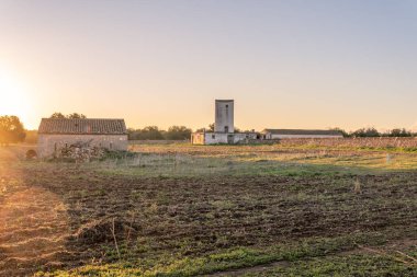 Şafak vakti İspanya 'nın Mallorca adasının iç kısımlarındaki bir arazide değirmen ve kırsal ev.