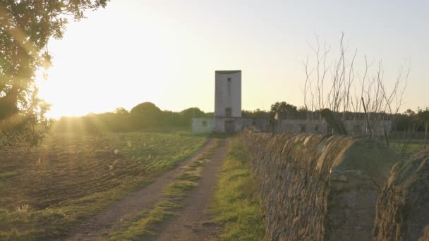 Mill and rustic house at dawn on a plot of land in the interior of the island of Mallorca — Stock Footage Mill Rustic House Dawn Plot Land Interior Island Mallorca Video Clip