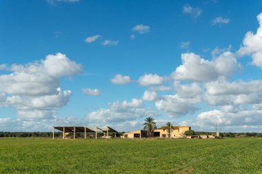 İspanya 'nın Mallorca adasının iç kesimlerine özgü bir kır evi. Akdeniz manzarası