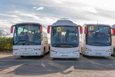 Campos, İspanya; 27 Aralık 2020: okul otobüsleri bir arazi üzerinde yan yana park edildi