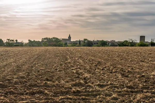 Sonnenaufgang Mallorquinischen Dorf Porreres Mit Einem Gepflügten Feld Vordergrund — Stockfoto