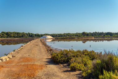 Geleneksel tuz fabrikası güneş doğarken Colonia de Sant Jordi kasabasında kurulur.