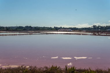 Geleneksel tuz fabrikası güneş doğarken Colonia de Sant Jordi kasabasında kurulur.