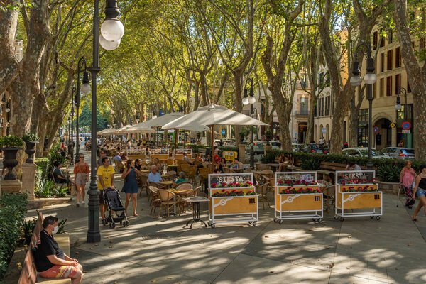 Palma de Mallorca, Spain; sSeptember 10 2021: General view of the Paseo del Borne in the historic center of Palma de Mallorca at sunset. Терраса кафе с выпивкой для клиентов