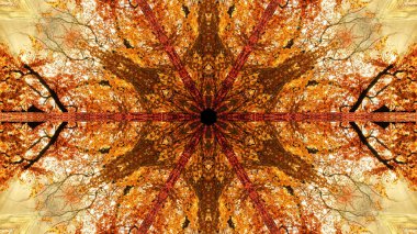 Altın sonbahar ağaç dallarından yapılan soyut kaleydoskop deseni