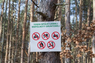 Çam ormanındaki ağaçta uyarı işareti birden fazla yasaklama ikonu var, çöp atmak yok ve beyaz tahta üzerinde giriş sembolleri yok..
